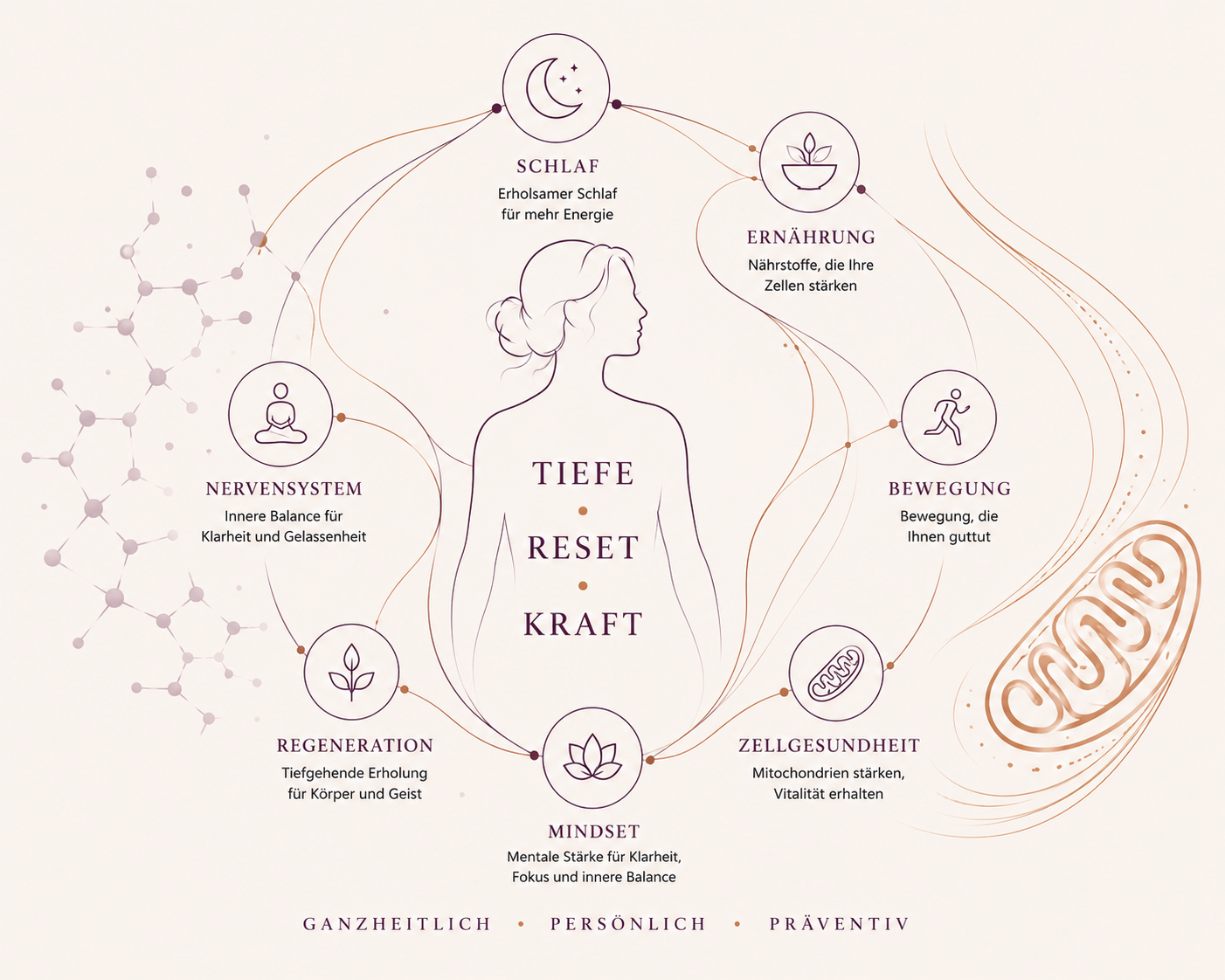 Das Somatic-Longevity-Konzept: Tiefe Reset Kraft – die sechs Säulen Schlaf, Ernährung, Bewegung, Zellgesundheit, Mindset, Regeneration und Nervensystem